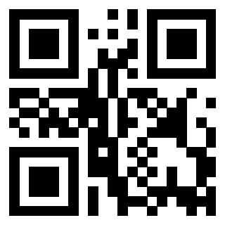3916091020 QrCode associato
