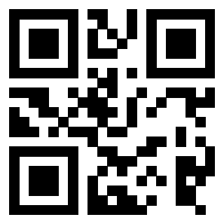 Il Qr Code di 3916091024
