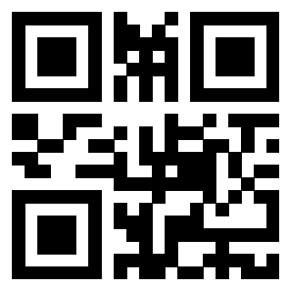 QrCode di 3916091061