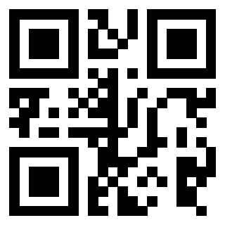 Il Qr Code di 3916091074