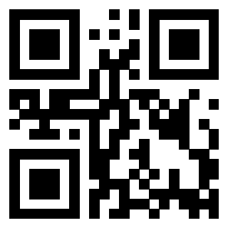 3916091076 - Immagine del QrCode associato