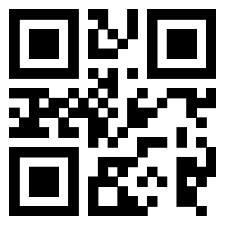 Il Qr Code di 3916091088