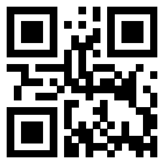 3916091106 Qr Code associato