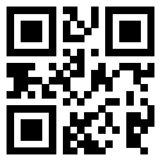 Il Qr Code di 3916091111
