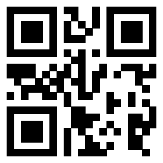 3916091166 - Immagine del Qr Code associato
