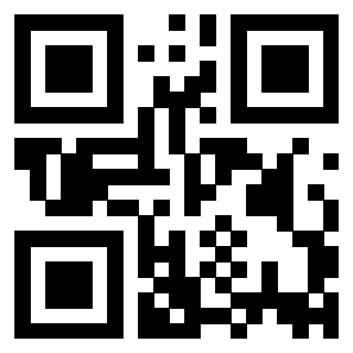 Il Qr Code di 3916091210