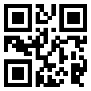 3916091256 QrCode associato