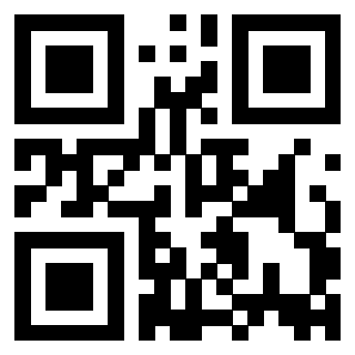 3916091313 - Immagine del QrCode associato