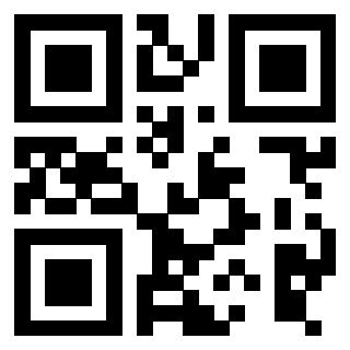 3916091324 Qr Code associato