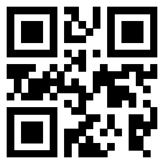 Il Qr Code di 3916094873