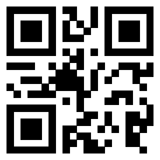Il Qr Code di 3916095023