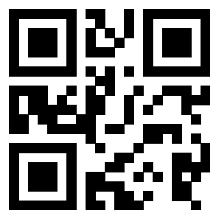 Il Qr Code di 3916095030
