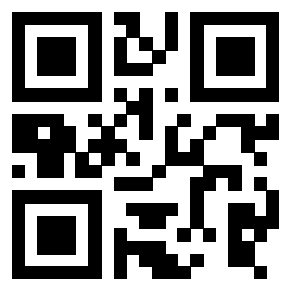 Il Qr Code di 3916095047