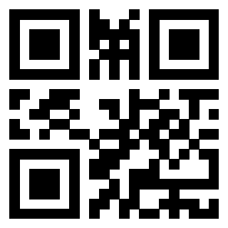 3916095049 QrCode associato