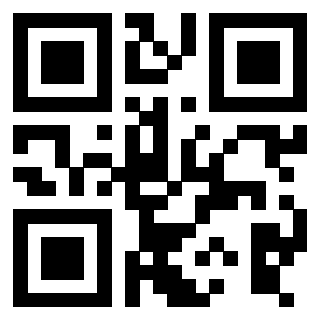Il Qr Code di 3916095058