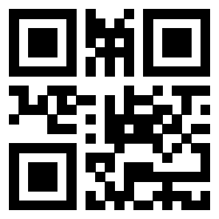 3916095060 Qr Code associato
