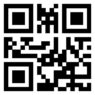 3916101533 QrCode associato