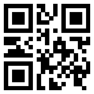 3916101541 Qr Code associato