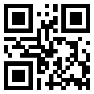 3916101656 - Immagine del QrCode