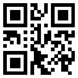 3916101732 Qr Code associato
