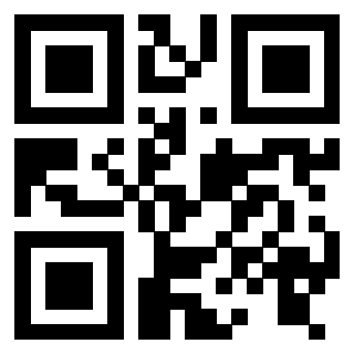 Il Qr Code di 3916101811