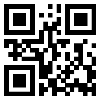 3916101919 Qr Code associato