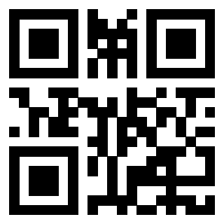 Il Qr Code di 3916102029