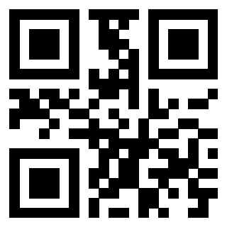 3916102031 QrCode associato