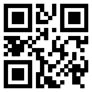 Il Qr Code di 3916102050