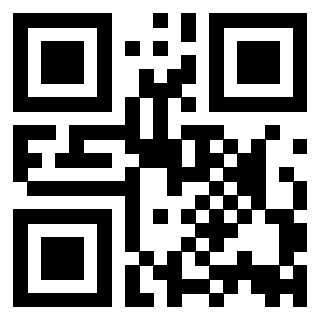 Il Qr Code di 3916102081