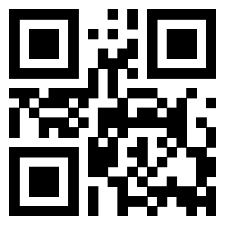 3916102106 QrCode associato