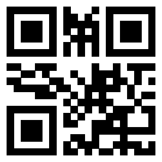 Il Qr Code di 3916102383