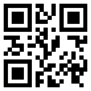 Il Qr Code di 3916102463