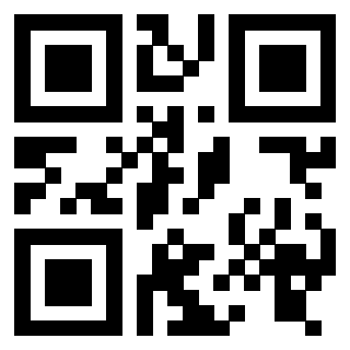 Il Qr Code di 3916102466