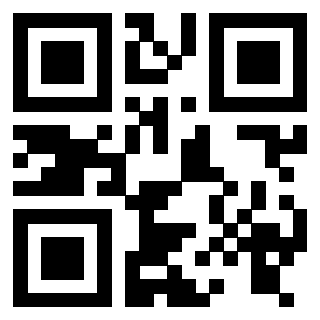 3916102486 Qr Code associato