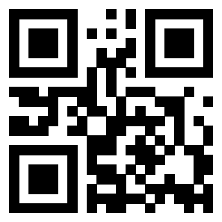 Il Qr Code di 3916108713