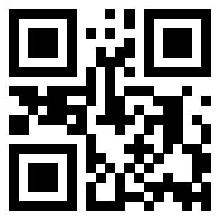 Il Qr Code di 3916115732
