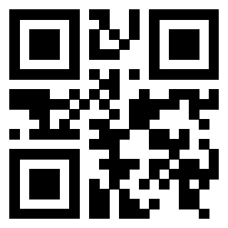 Il Qr Code di 3916115813