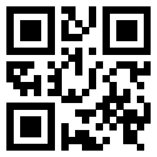 Il Qr Code di 3916116025