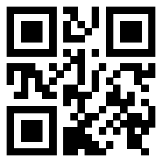Il Qr Code di 3916116030