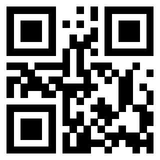 Il Qr Code di 3916116033