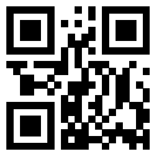 QrCode di 3916116066