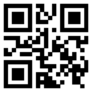 Il Qr Code di 3916116093