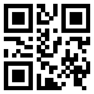 Il Qr Code di 3916116156