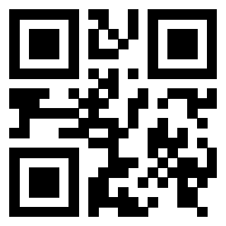 3916116166 - Immagine del QrCode associato