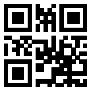 Il Qr Code di 3916116173