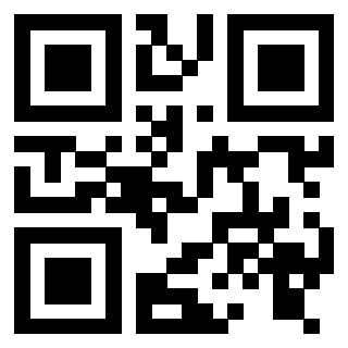Il Qr Code di 3916116289