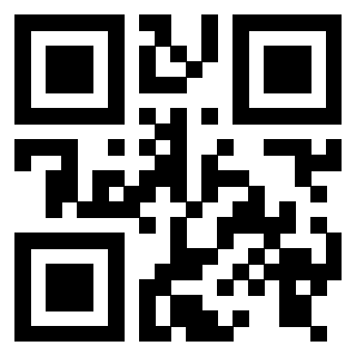 Il Qr Code di 3916116348