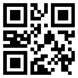 Il Qr Code di 3916116572