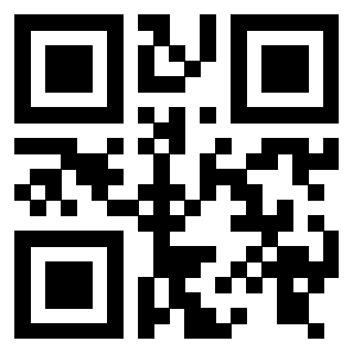 Il Qr Code di 3916116602